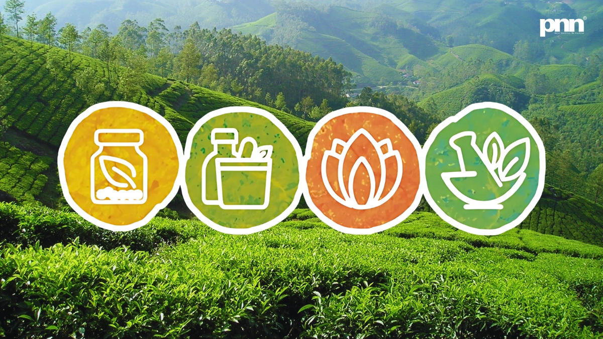 AYUSH-in-2025-Indias-Healing-Legacy-Goes-Mainstream