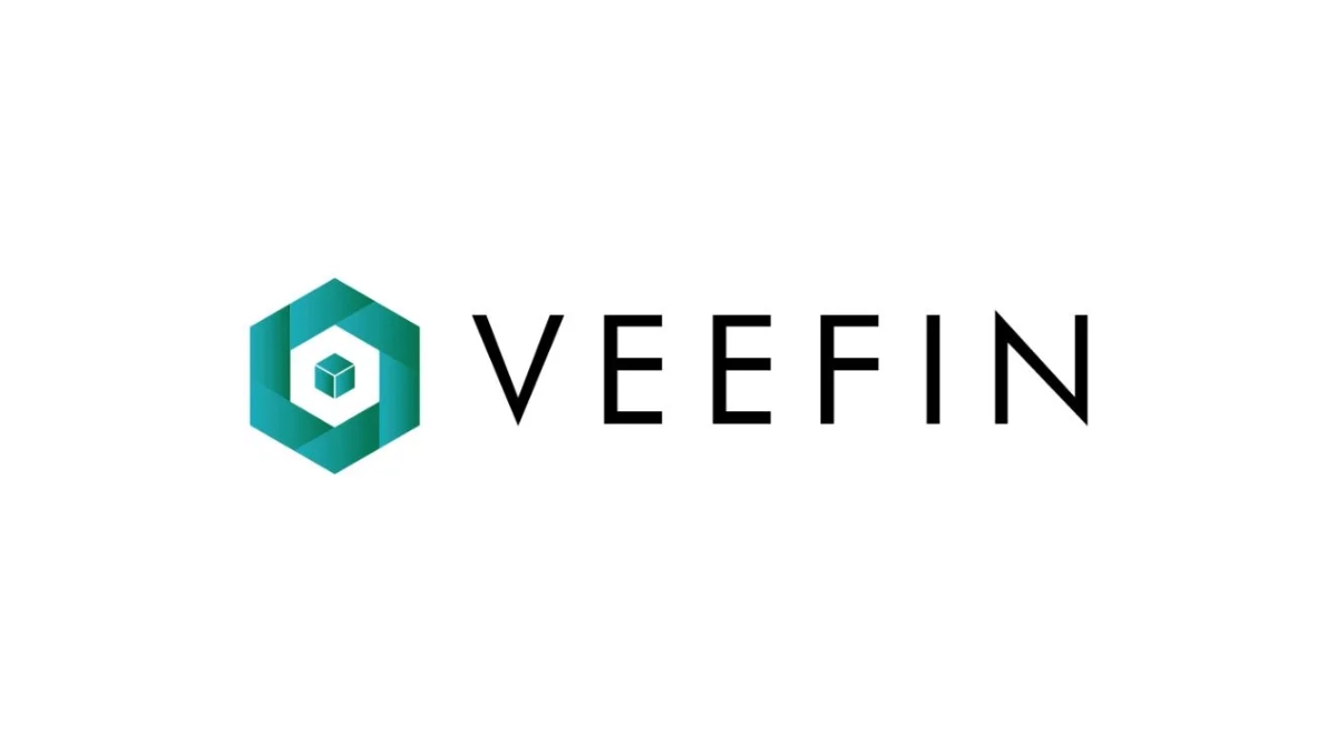 Veefin-Solutions-Limited