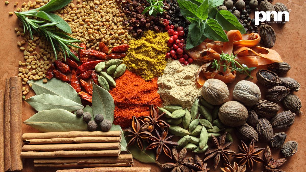 Spices-Imagejpg